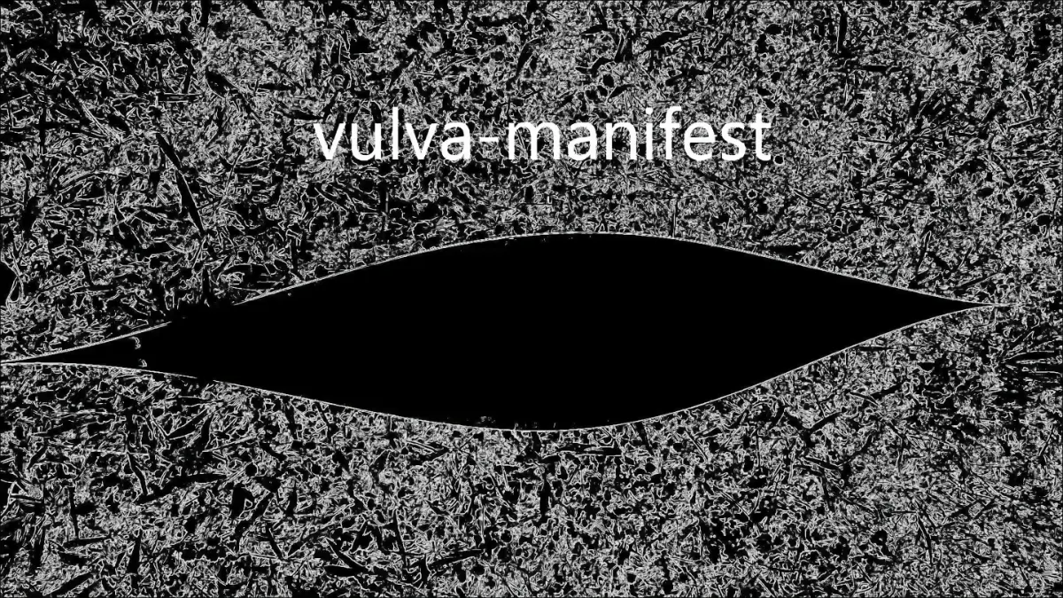 Vulva manifest by Ingrid Gans, Animation, 4:47 Min., 2022 SnapShot 1