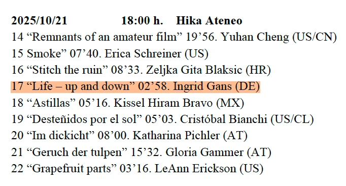Life - up and down auf Bideodromo Filmfestival